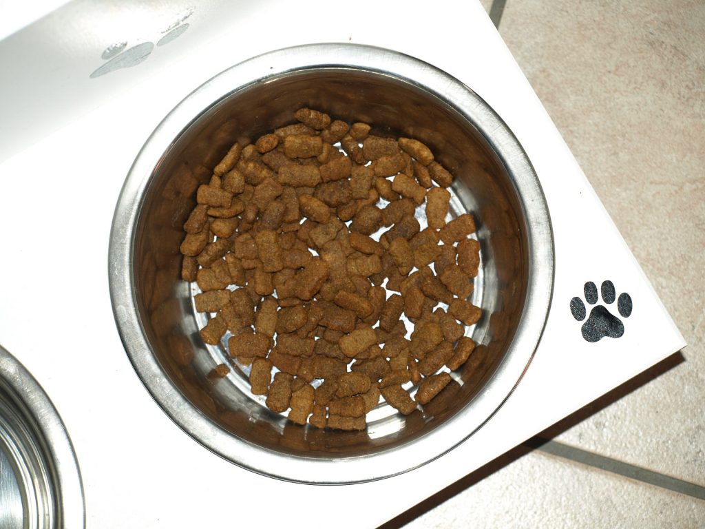 bol comida perros