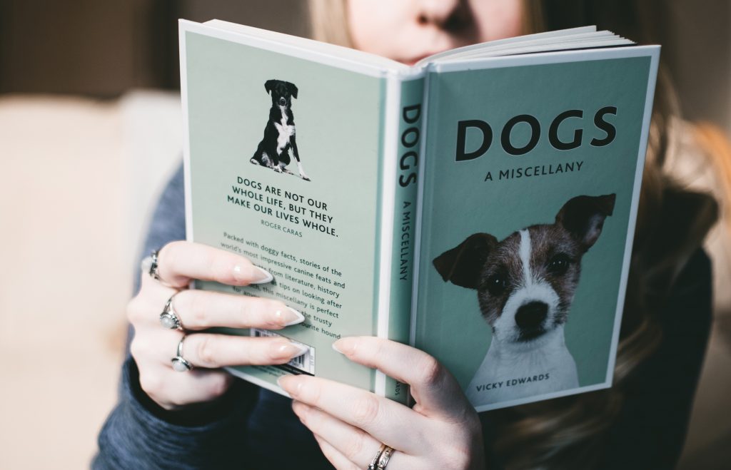 Libros de perros: novelas con protagonistas caninos