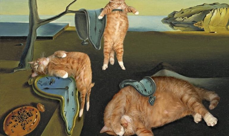 fat-cat-art