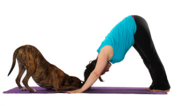 yoga con tu perro