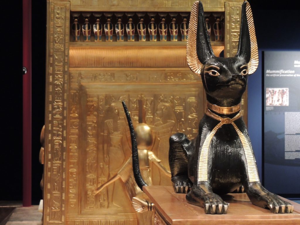 los gatos en el antiguo egipto