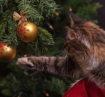 árbol navideño para gatos