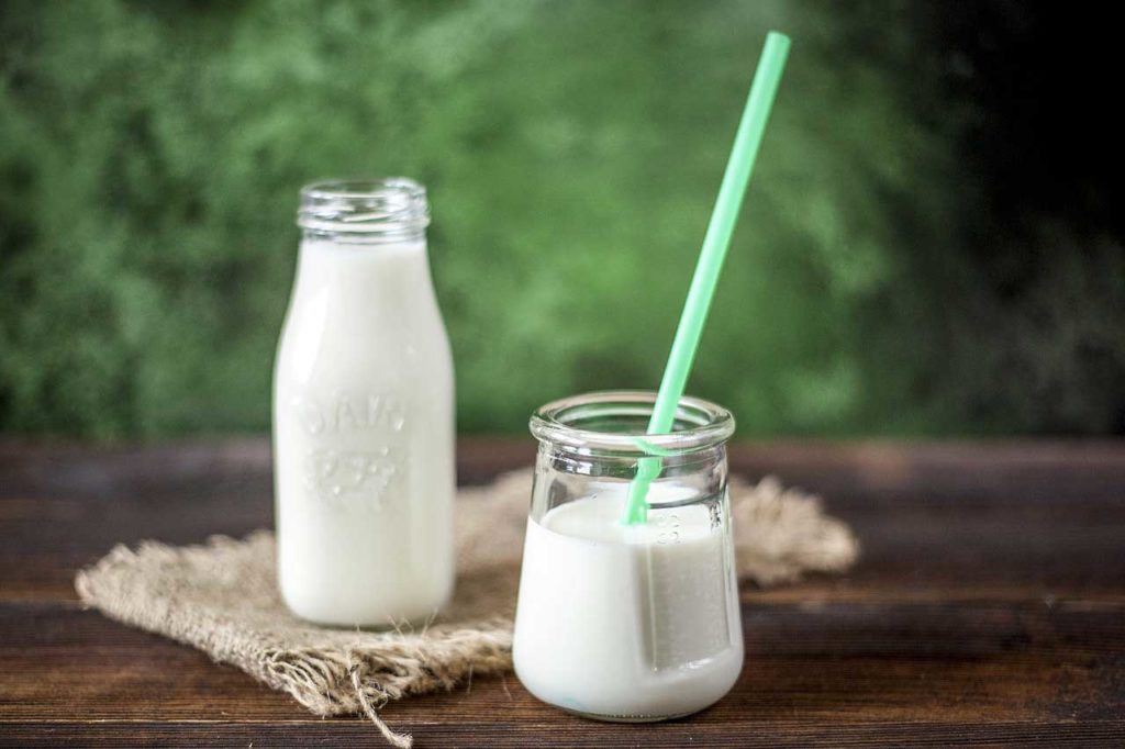 leche y lácteos alimentos tóxicos para los hurones