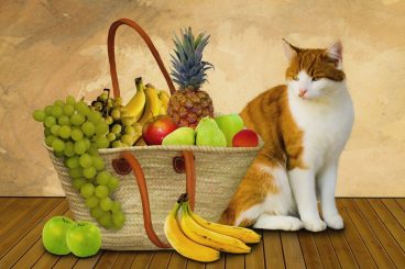 frutas para gatos