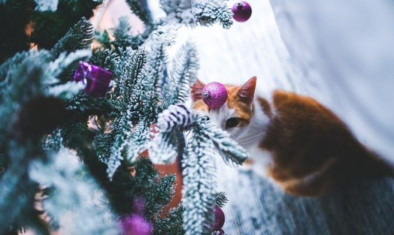 cómo hacer que el gato no destroce el árbol de navidad