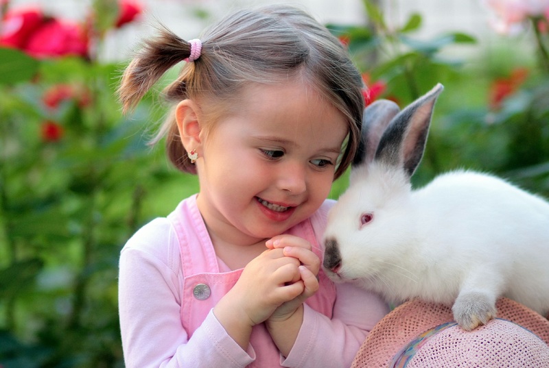 cómo evitar el estrés en conejos