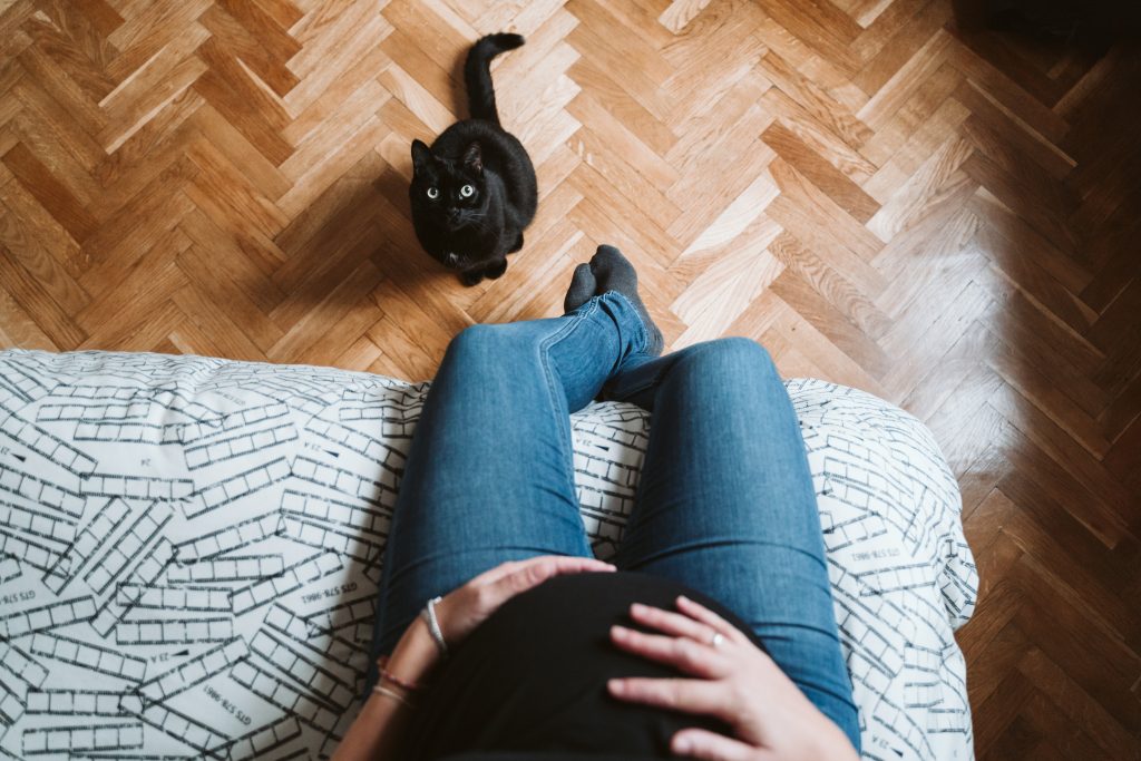 el embarazo es compatible con tener mascotas