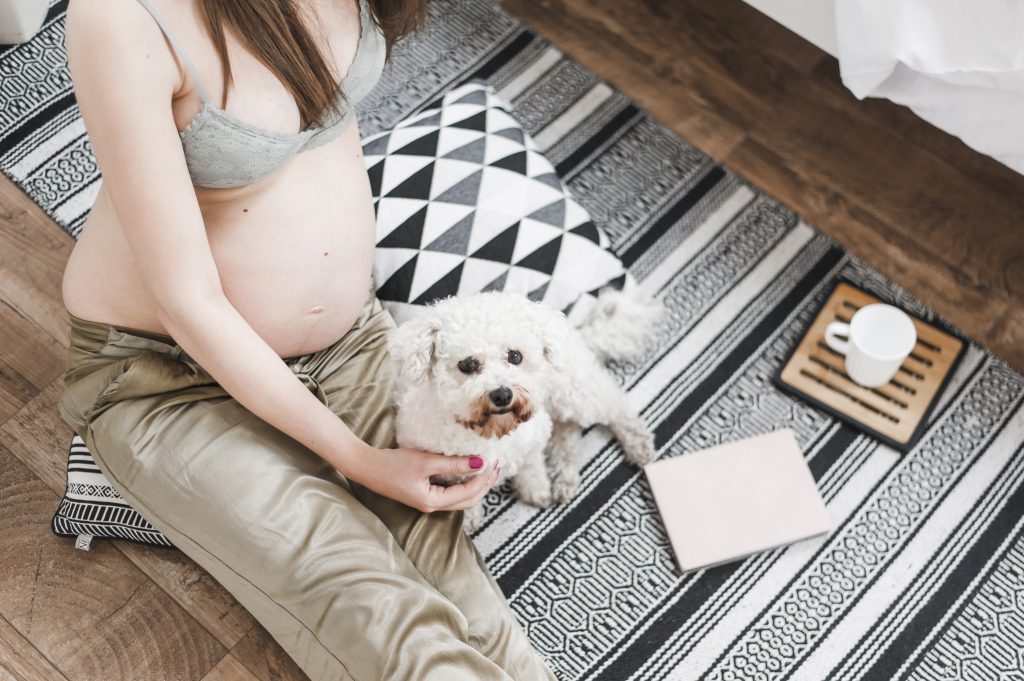 embarazo y mascotas todos sus beneficios