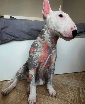 no hay que tatuar a los perros
