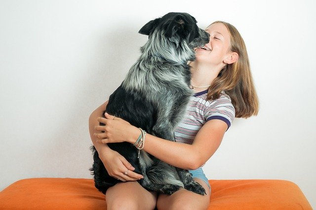 El contacto físico entre dueño y mascota es beneficioso para perros y humanos