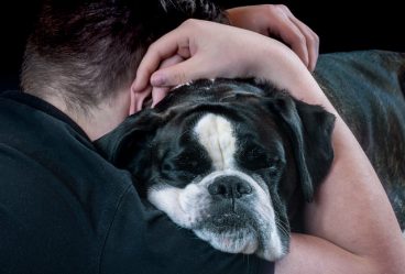 La importancia del contacto físico con tu perro