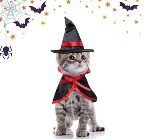 disfraces de halloween para gatos de bruja