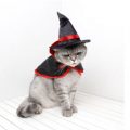 disfraces halloween gatos