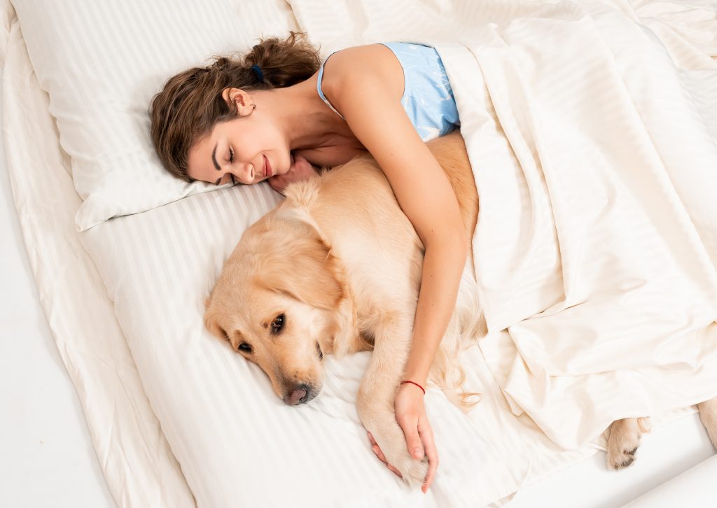 lo bueno de dormir con tu mascota