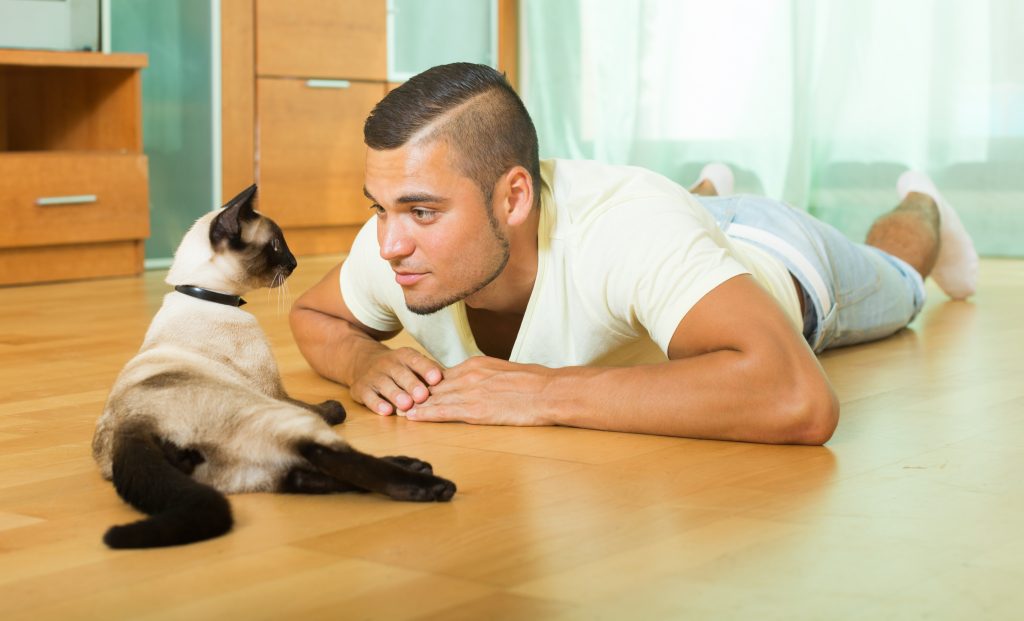 la interacción del gato con otros seres es parte del enriquecimiento ambiental para gatos