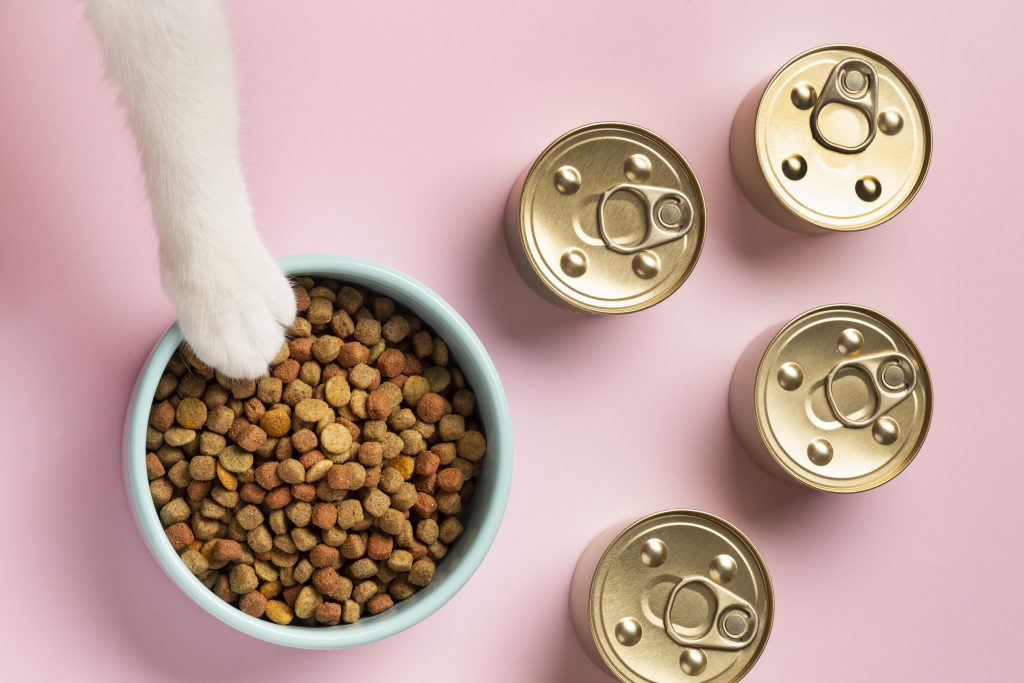 mitos sobre la alimentación en gatos la comida húmeda es mala para sus dientes