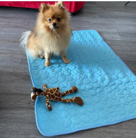 qué es una alfombra refrescante para perros