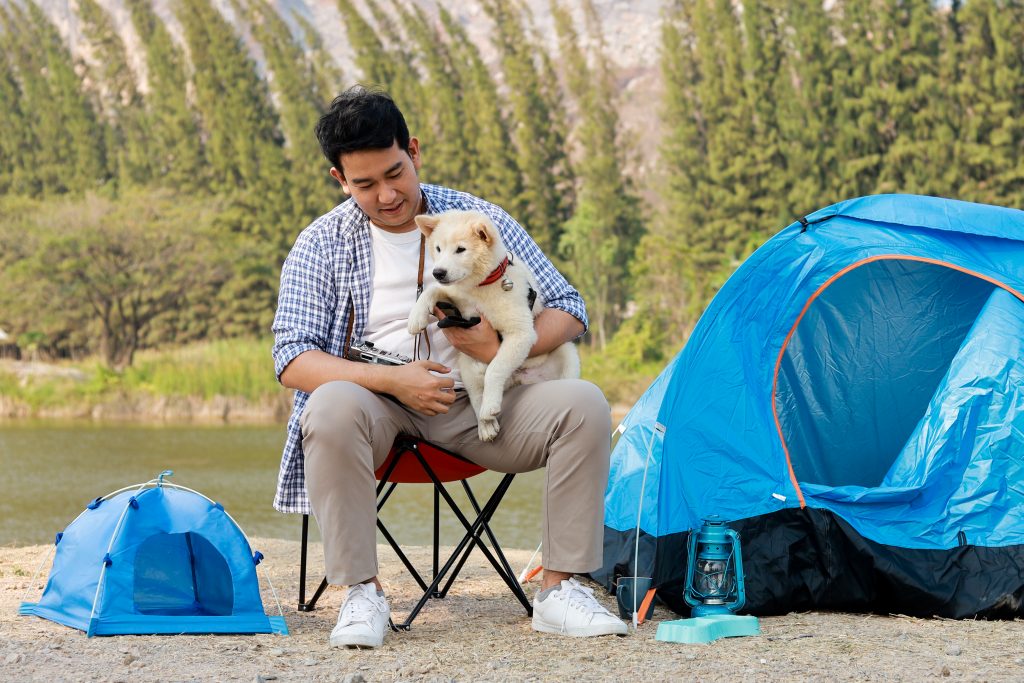 tips para acampar con perros