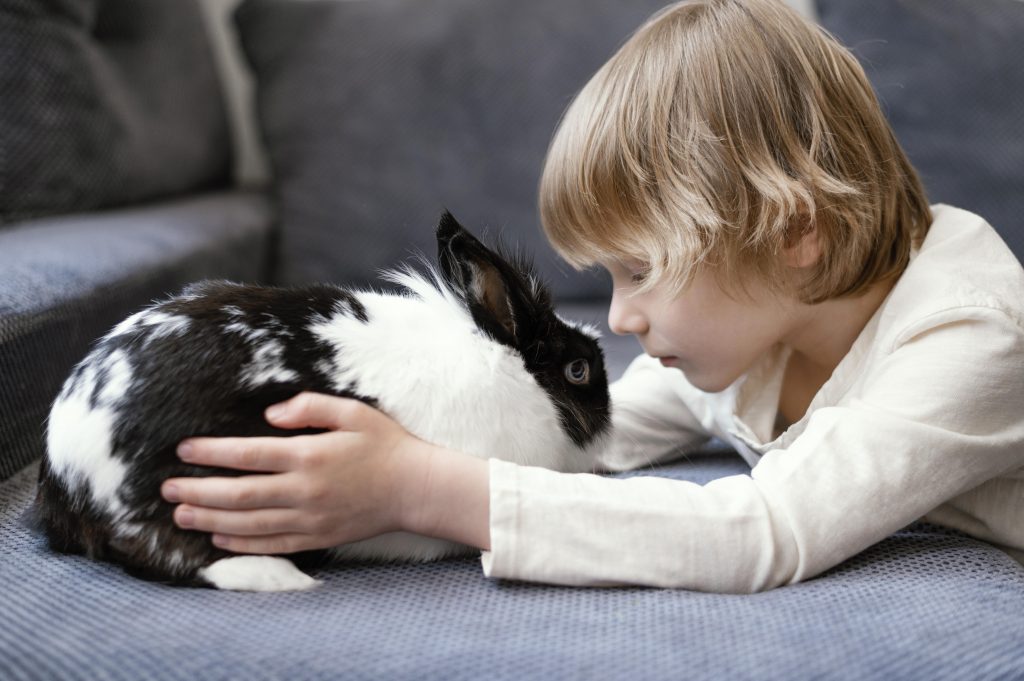 esperanza de vida de las mascotas cuánto viven los conejos