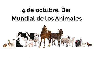 4 de octubre día mundial de los animales