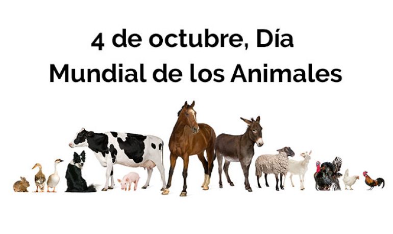 4 de octubre día mundial de los animales