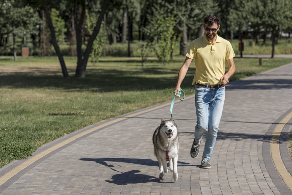 ¿cuántas Veces Tengo Que Sacar A Pasear Al Perro