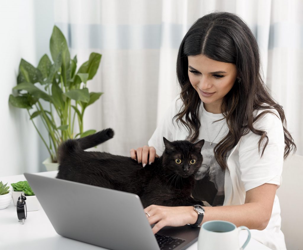 comportamientos extraños de los gatos sentarse encima del teclado del ordenador
