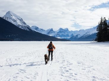 viajar con perro a Canadá