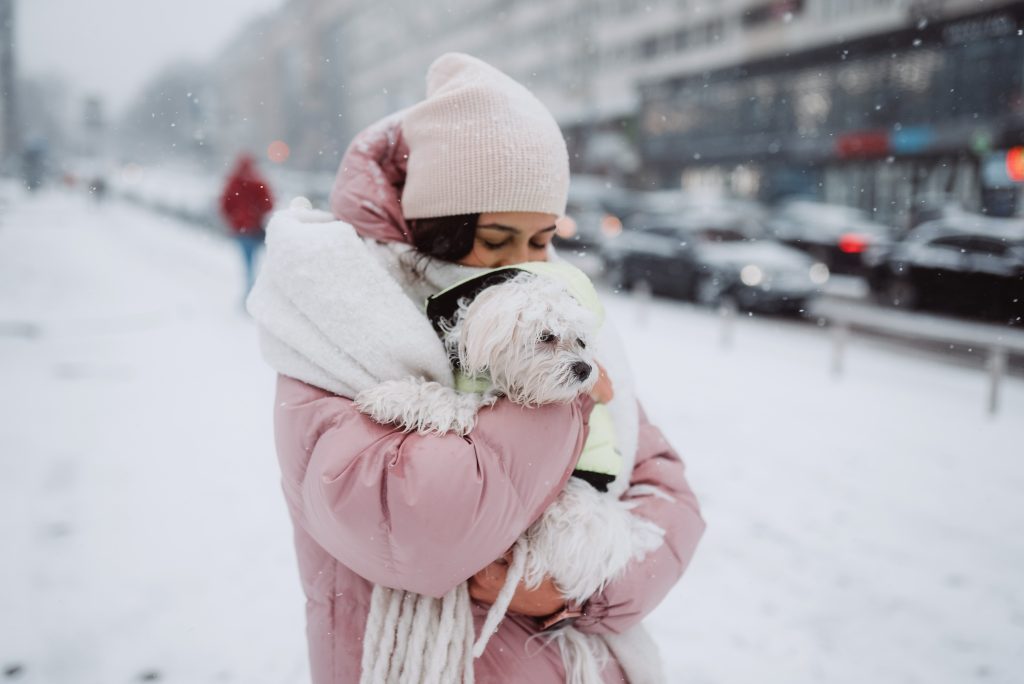 Protect dogs in the snow with coats