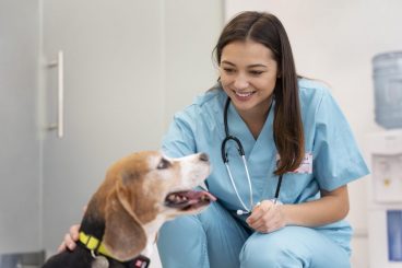 Habilidades que debe reunir un asistente veterinario