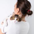Beneficios de las mascotas para la salud mental de las personas