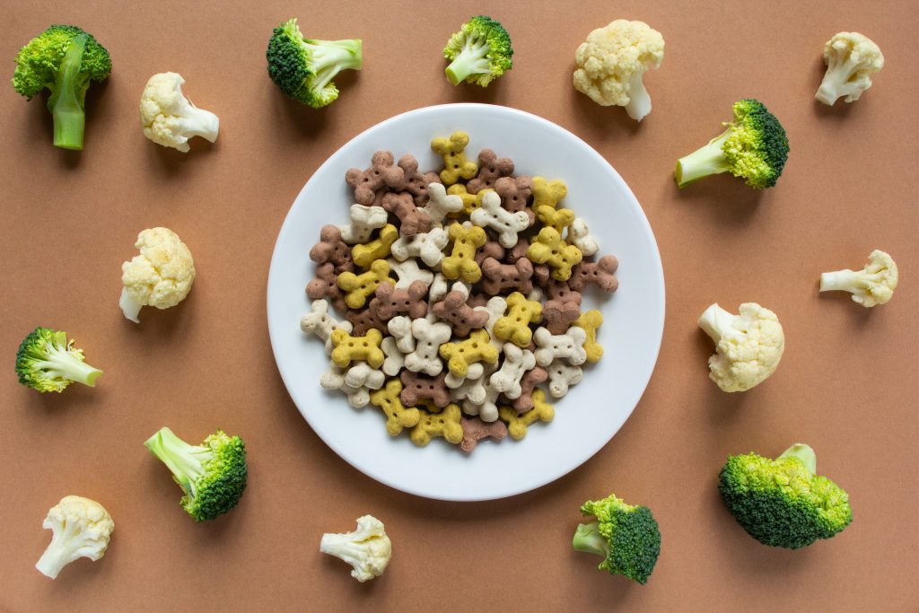 Los perros pueden comer brócoli si o no