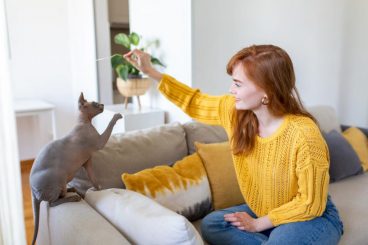Juegos para fortalecer el vínculo con tu gato