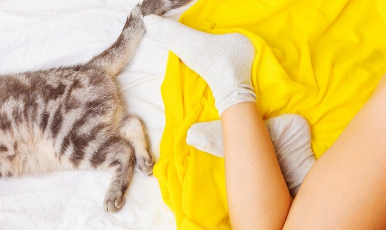 Por qué tu gato duerme a los pies de tu cama