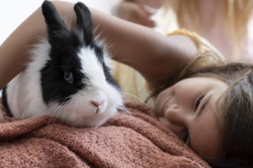 10 razones para tener un conejo como mascota