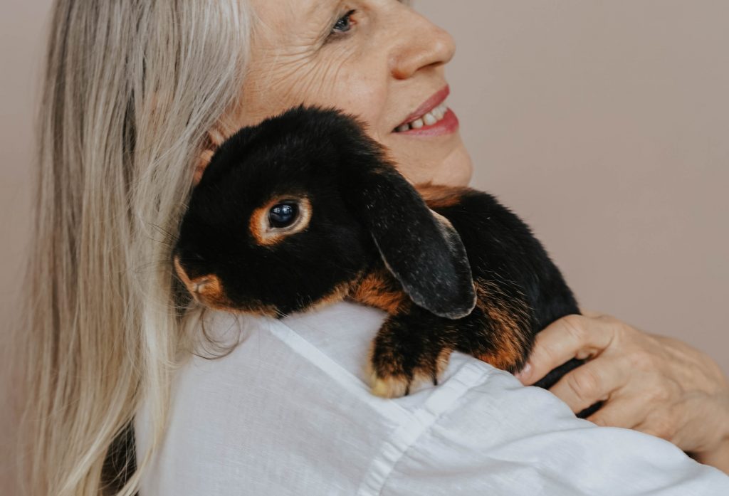 Las razones para tener un conejo como mascota