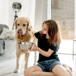 Espirulina para perros: qué es y qué beneficios tiene