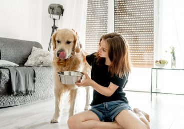 Espirulina para perros: qué es y qué beneficios tiene