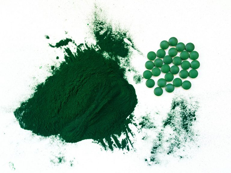 Espirulina para perros qué es y qué beneficios tiene