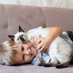 Convivencia entre niños y gatos: las claves para que sea perfecta