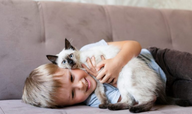 Convivencia entre niños y gatos: las claves para que sea perfecta