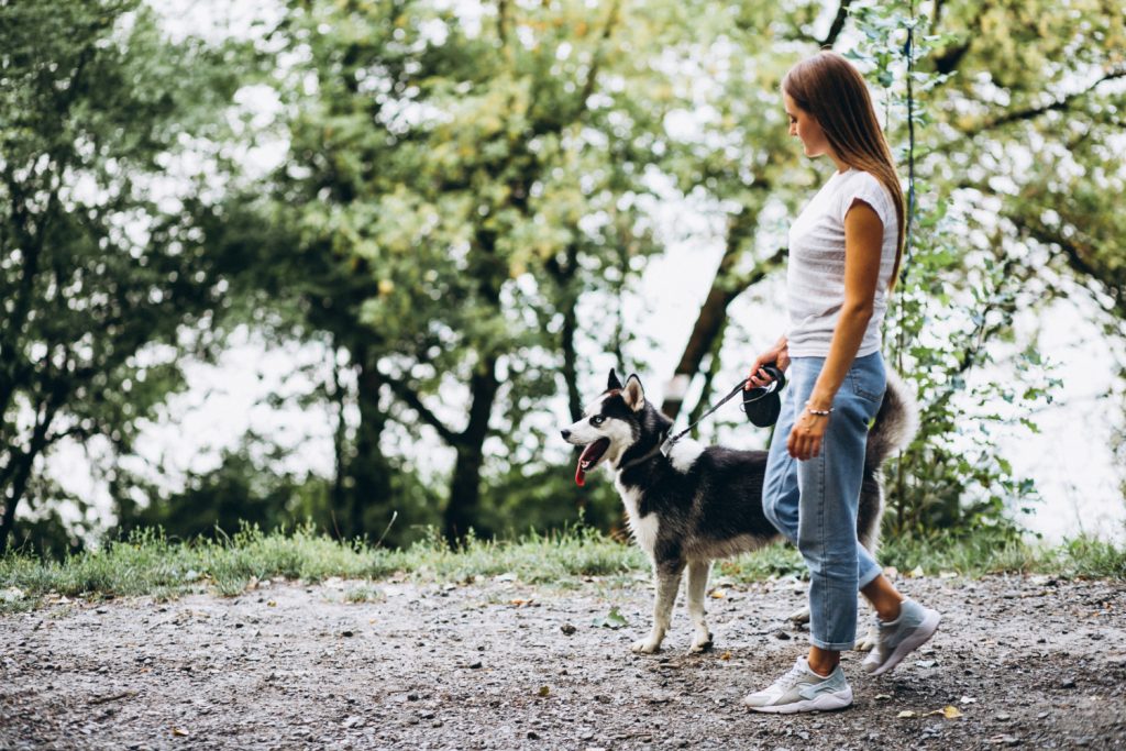 Lo que indica que has encontrado al paseador perfecto para tu perro