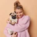 Razas de perro más tranquilas para dueños primerizos