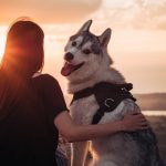 ¿Podemos transmitir tristeza a nuestras mascotas?