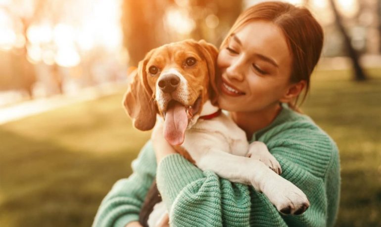 Terapias holísticas para mascotas