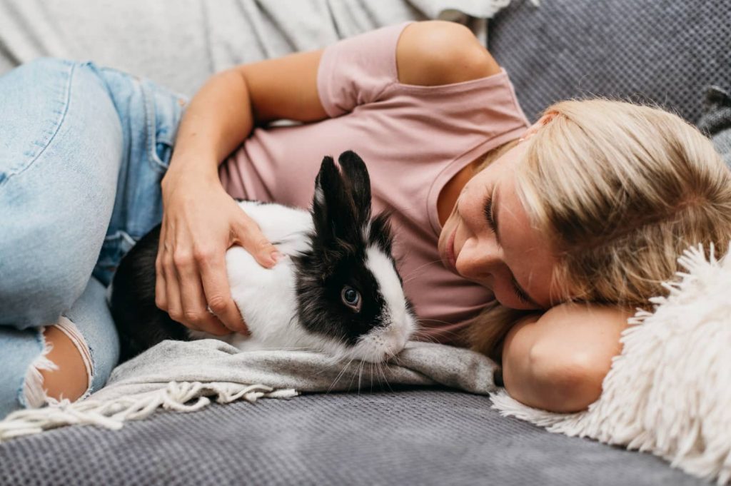 ¿Por qué la socialización es crucial para los conejos?