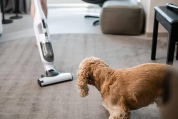 10 tips de limpieza para un hogar con mascotas