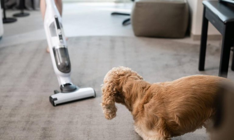 10 tips de limpieza para un hogar con mascotas
