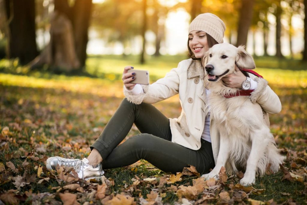 Planes para el otoño con tu perro
