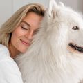 Muda de pelo en perros: cambios en el pelaje de tu fiel amigo